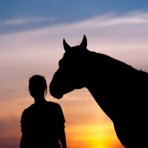 Private lessons at your location