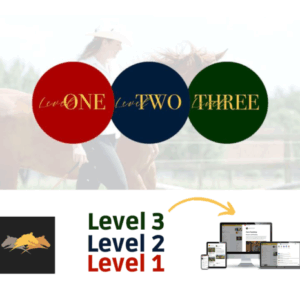 Zelfstudie PNH level 1 + 2 + 3 (Online + Freestyle + Liberty savvy)